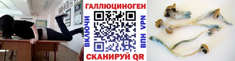 Псилоцибиновые грибы MAGIC MUSHROOMS Бабушкин